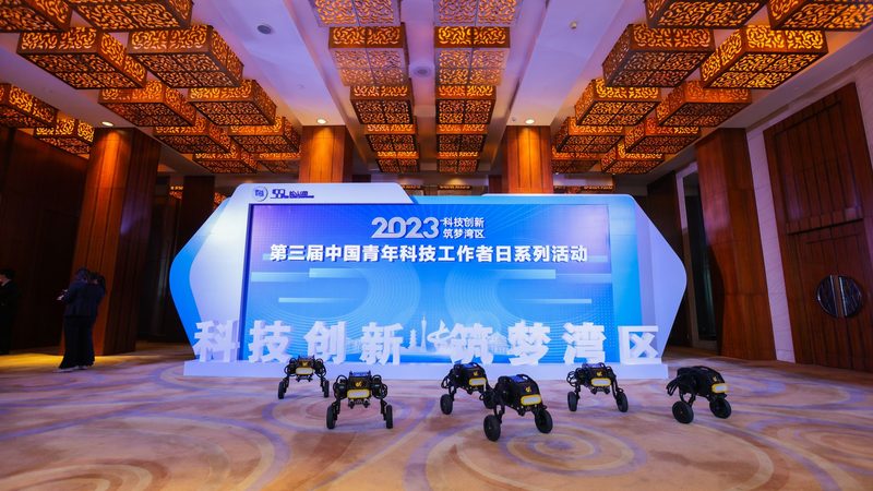 算法面试动态规划经典题：破解之道与实战技巧